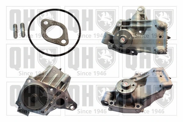 Water Pump, engine cooling (QCP3300)