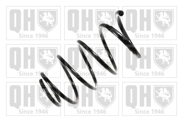 Suspension Spring (QCS6686)