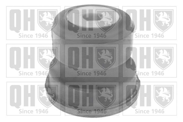 Mounting, control/trailing arm (EMS8321)