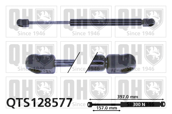 Gas Spring, bonnet (QTS128577)