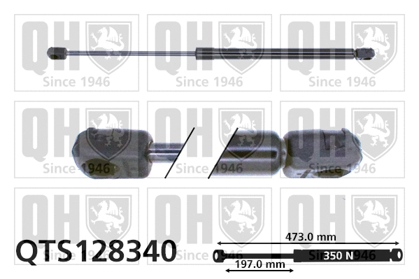 Gas Spring, boot/cargo area (QTS128340)