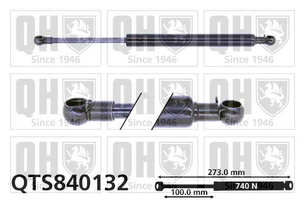 Gas Spring, boot/cargo area (QTS840132)
