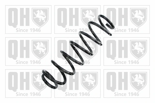 Suspension Spring (QCS8978)