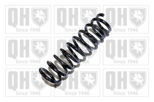 Suspension Spring (QCS7887)