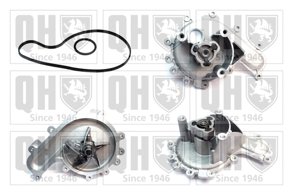 Water Pump, engine cooling (QCP3665)