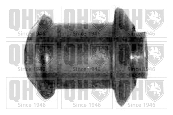 Mounting, control/trailing arm (EMS1854)