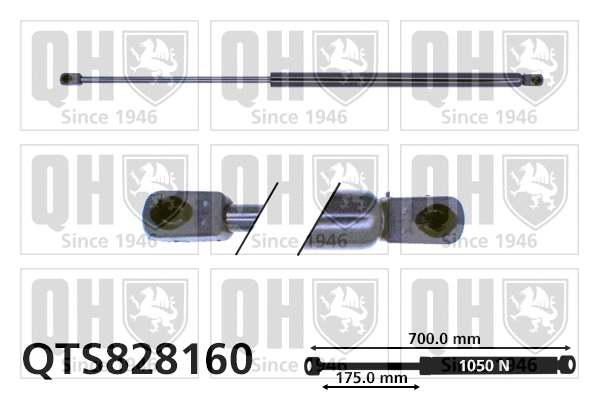 Gas Spring, boot/cargo area (QTS828160)