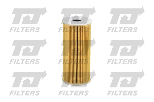 Oil Filter (QFL0039)