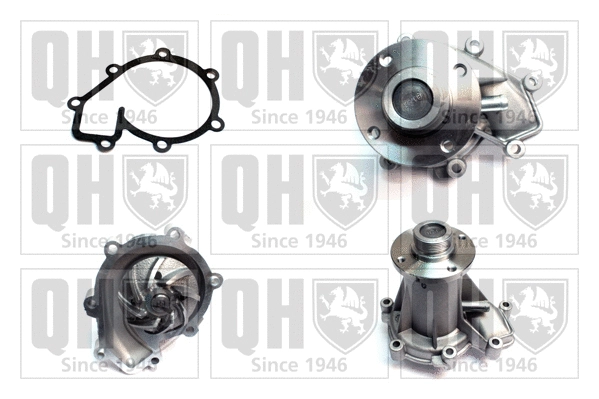 Water Pump, engine cooling (QCP3170)