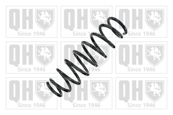 Suspension Spring (QCS7174)