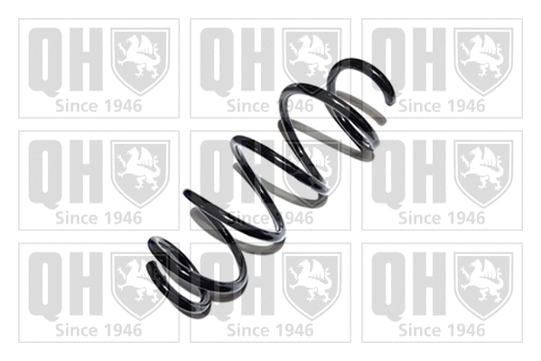 Suspension Spring (QCS7088)
