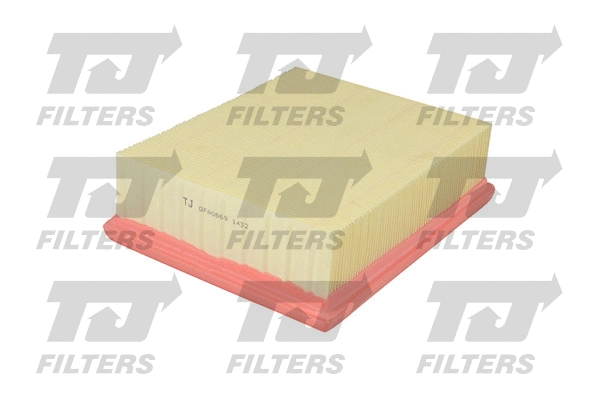 Air Filter (QFA0869)
