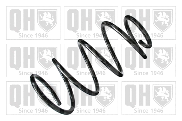 Suspension Spring (QCS6662)