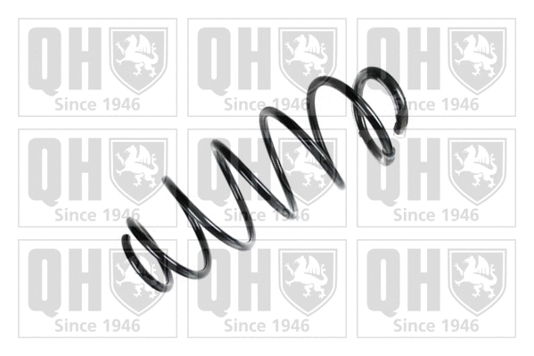 Suspension Spring (QCS6210)