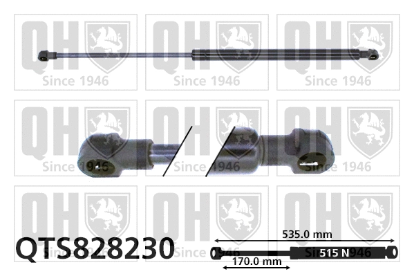 Gas Spring, boot/cargo area (QTS828230)