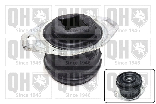 Mounting, engine (EM4878)