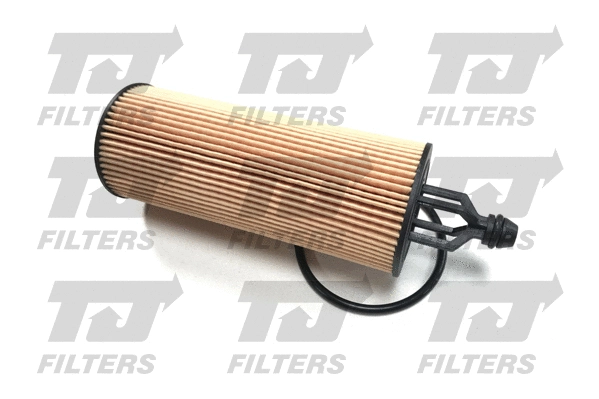 Oil Filter (QFL0369)