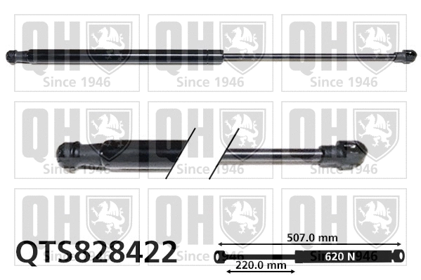Gas Spring, boot/cargo area (QTS828422)