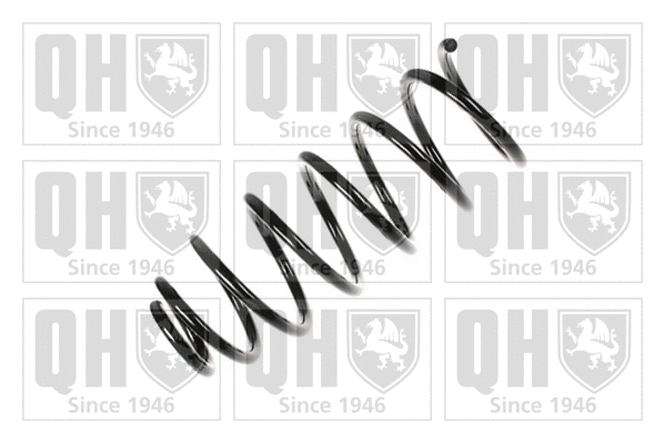 Suspension Spring (QCS7656)