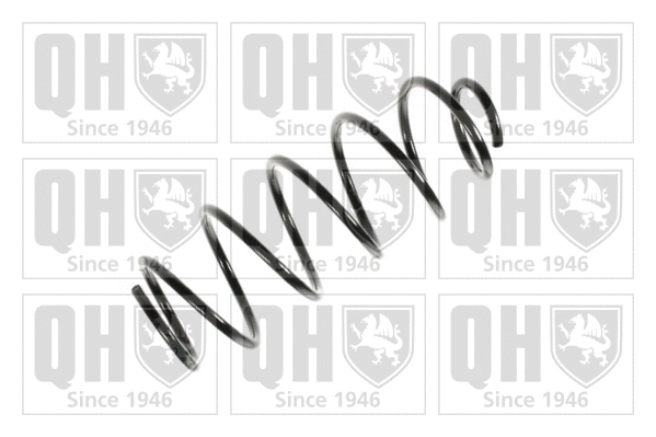 Suspension Spring (QCS7053)