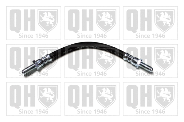 Brake Hose (BFH1121)