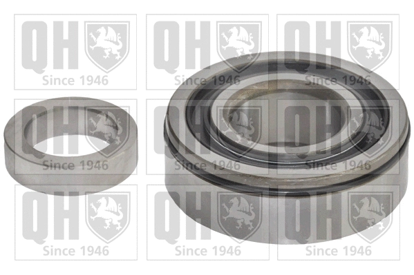Wheel Bearing Kit (QWB923)
