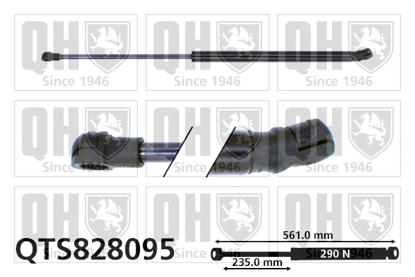 Gas Spring, boot/cargo area (QTS828095)