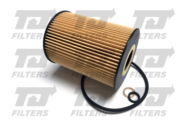 Oil Filter (QFL0353)