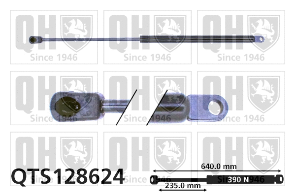 Gas Spring, boot/cargo area (QTS128624)