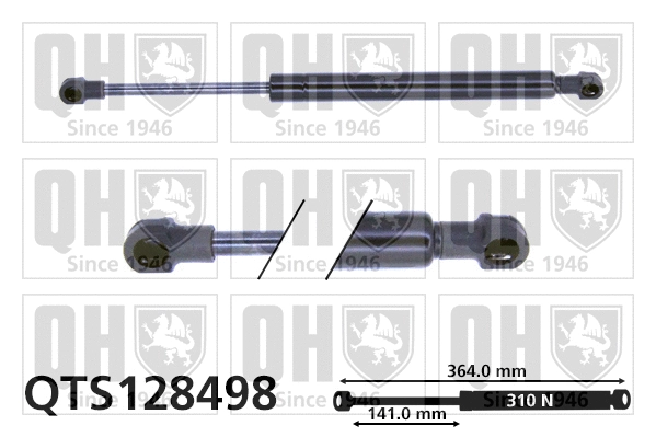 Gas Spring, boot/cargo area (QTS128498)