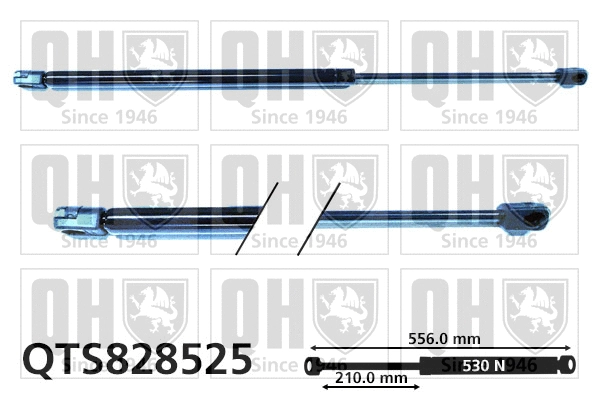 Gas Spring, boot/cargo area (QTS828525)