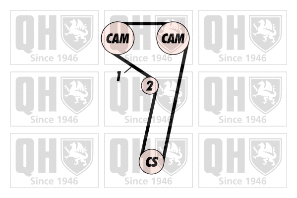 Timing Belt Kit (QBK444)