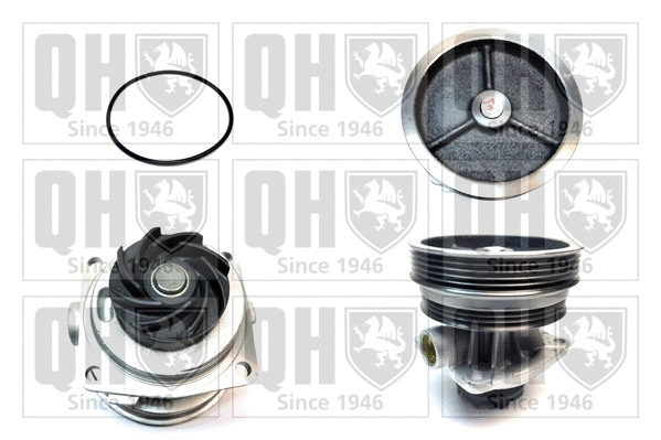 Water Pump, engine cooling (QCP3208)