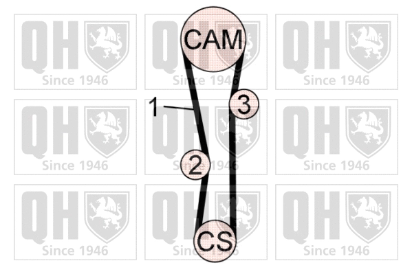 Timing Belt Kit (QBK655)
