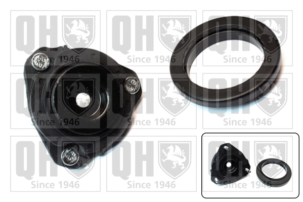 Repair Kit, suspension strut support mount (EMA6079)