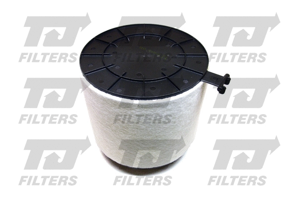 Air Filter (QFA0421)