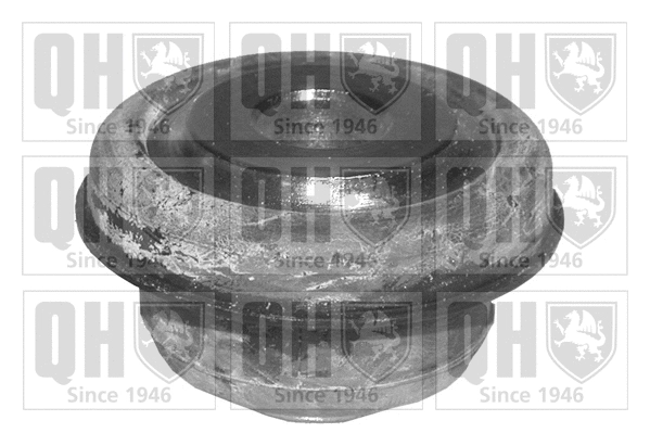 Mounting, control/trailing arm (EMS8113)