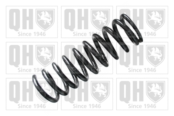 Suspension Spring (QCS7820)