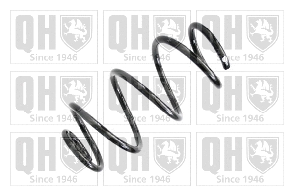 Suspension Spring (QCS8216)