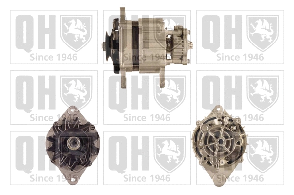 Alternator (QRA2194)
