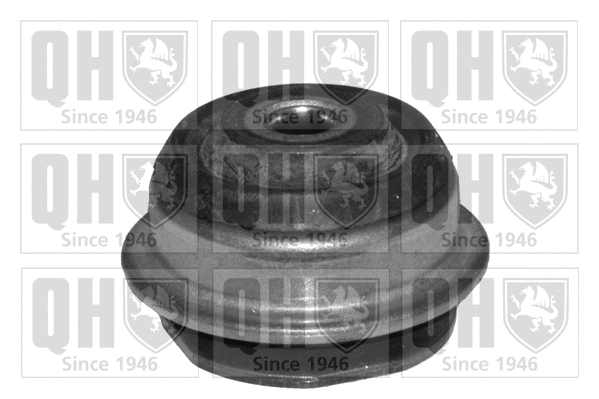 Mounting, control/trailing arm (EMS4091)