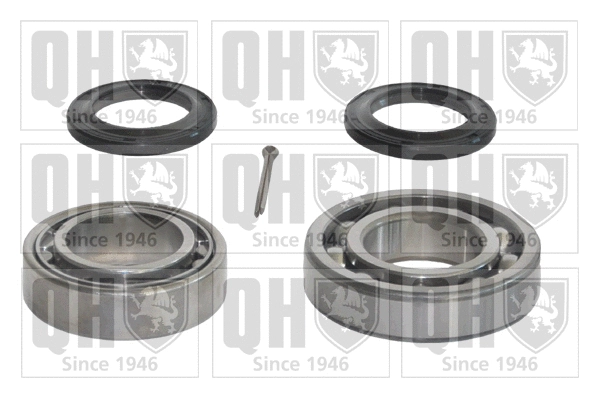 Wheel Bearing Kit (QWB494)
