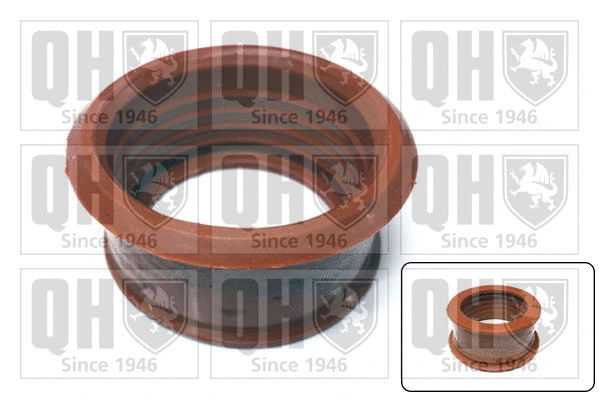 Charge Air Hose (QTG1000)