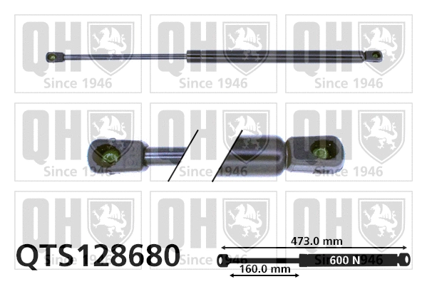Gas Spring, boot/cargo area (QTS128680)