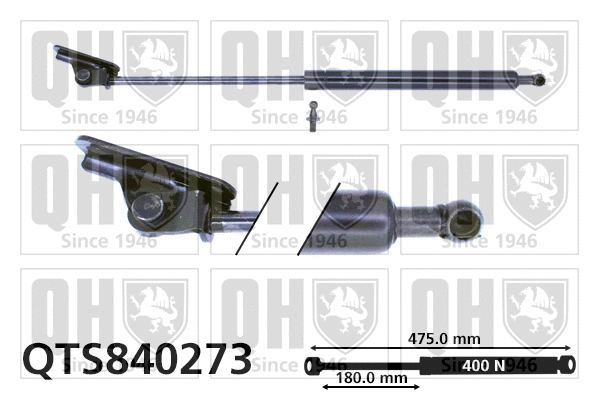 Gas Spring, boot/cargo area (QTS840273)