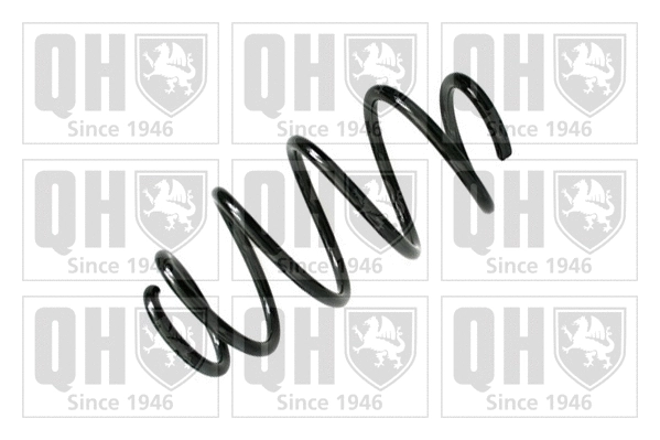 Suspension Spring (QCS8195)