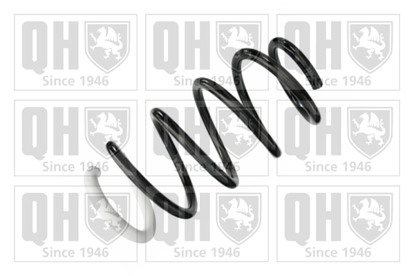 Suspension Spring (QCS8603)