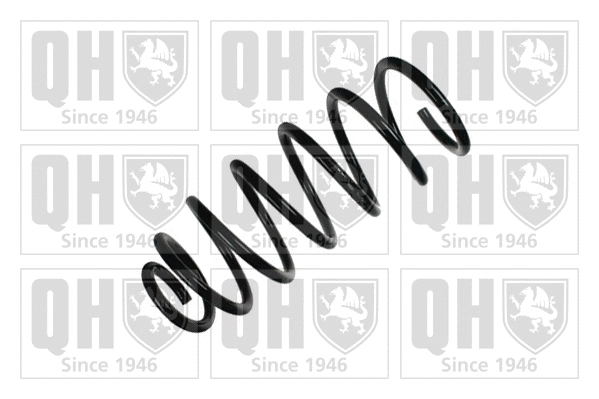Suspension Spring (QCS7281)