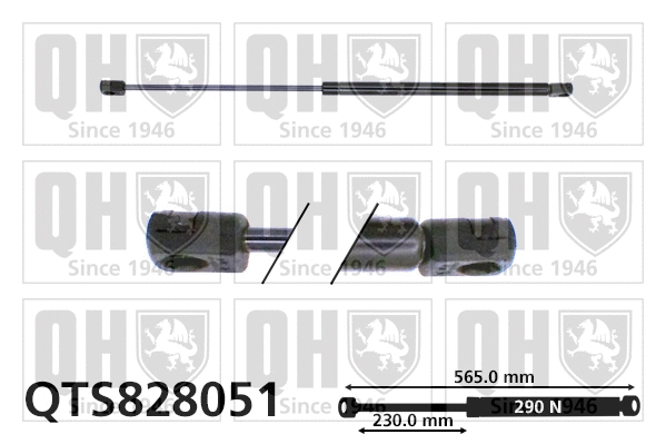 Gas Spring, bonnet (QTS828051)