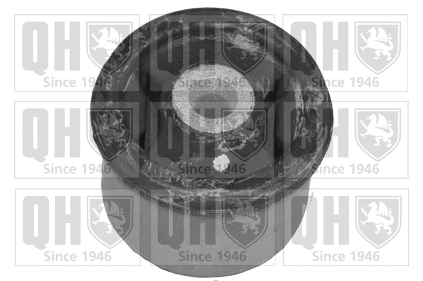 Mounting, control/trailing arm (EMS4082)